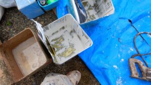 外壁塗装の費用節約したい？光触媒や無機塗料をおすすめする理由