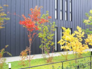 ガルバニウム鋼板は金属で劣化しにくい