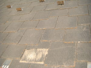 CIMG0794