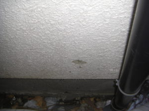 CIMG0799