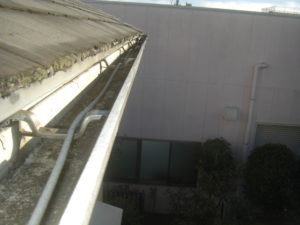 CIMG8474